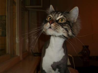 Прикрепленное изображение: DSCF0142.JPG